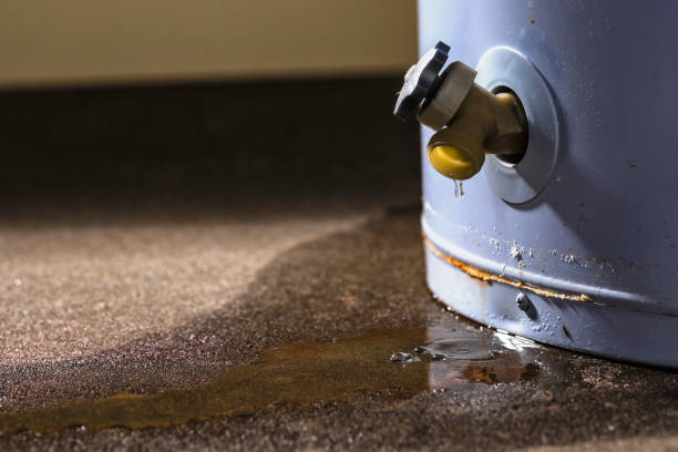 Best Commercial water damage restoration  in Lake Zurich, IL