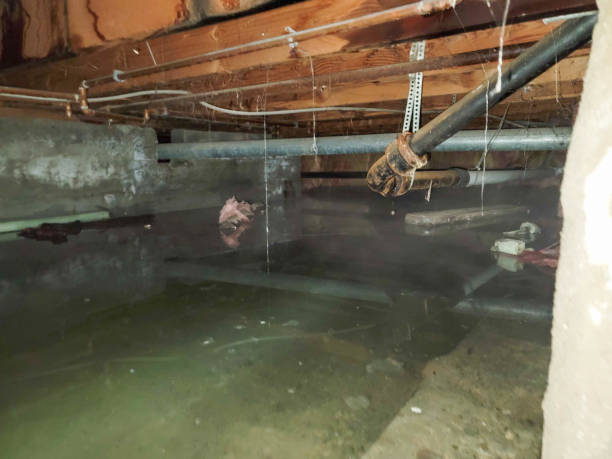 24/7 water damage repair in Lake Zurich, IL